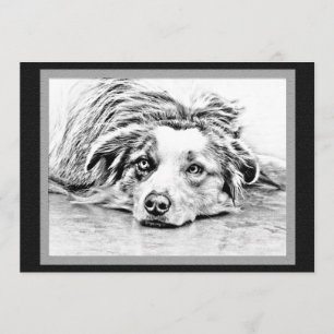 Australian Shepherd dog art Invitation