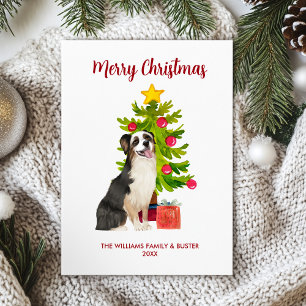Australian Shepherd Dog Christmas Card