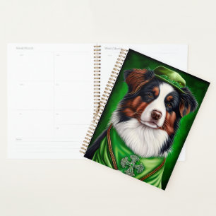Australian Shepherd dog en tenue de St. Patrick's 