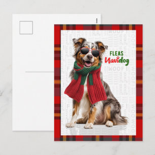 Australian Shepherd Dog Fleas Navidog Christmas Holiday Postcard