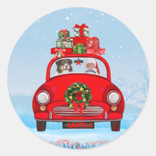 Australian Shepherd Dog In Car With Santa Claus  Classic Round Sticker
