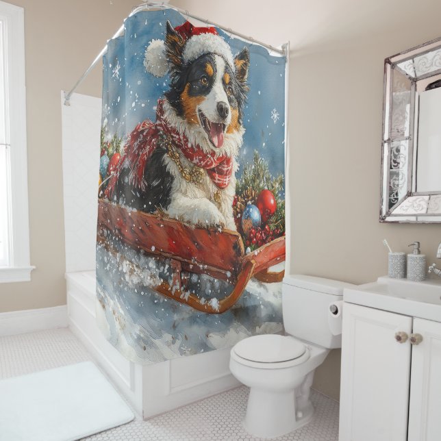 Australian Shepherd Dog in Sledge Chriistmas (In Situ)