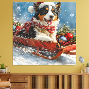 Australian Shepherd Dog in Sledge Chriistmas Canvas Print