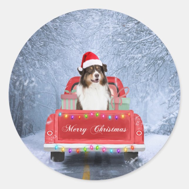 Australian Shepherd Dog in Snow Christmas  Classic Round Sticker (Front)