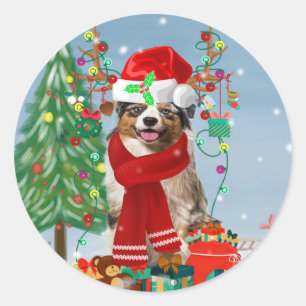 Australian Shepherd Dog in Snow Christmas  Classic Round Sticker