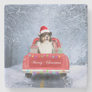 Australian Shepherd Dog in Snow Christmas Stone Coaster