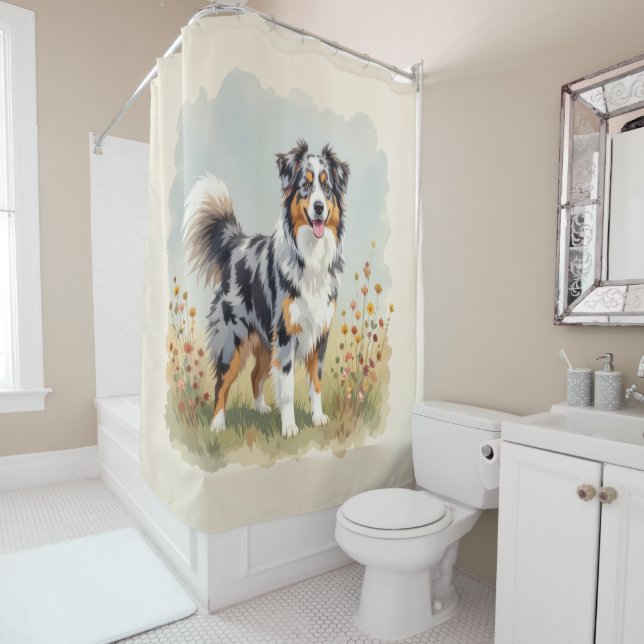 Australian Shepherd Dog Merle Long Tail (In Situ)