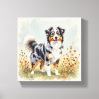 Australian Shepherd Dog Merle Long Tail