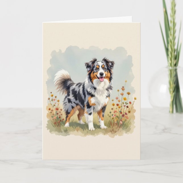 Australian Shepherd Dog Merle Long Tail Card (Front)