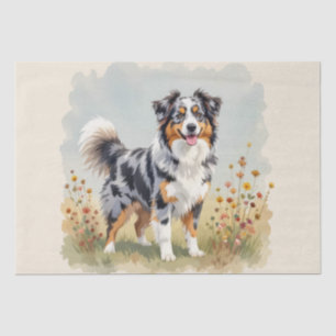 Australian Shepherd Dog Merle Long Tail Tissue Paper