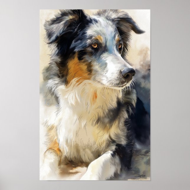 Australian shepherd dog portrait poster (Front)