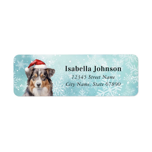Australian Shepherd Dog Retourner l'adresse Étique (Devant)