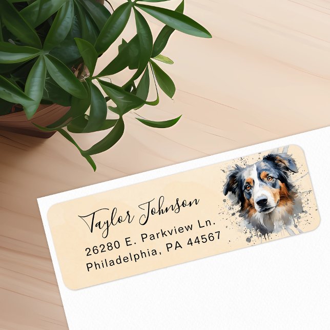 Australian Shepherd Dog Return Address (Creator Uploaded)