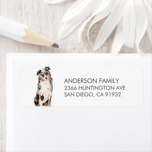 Australian Shepherd Dog Return Address Label (Insitu)