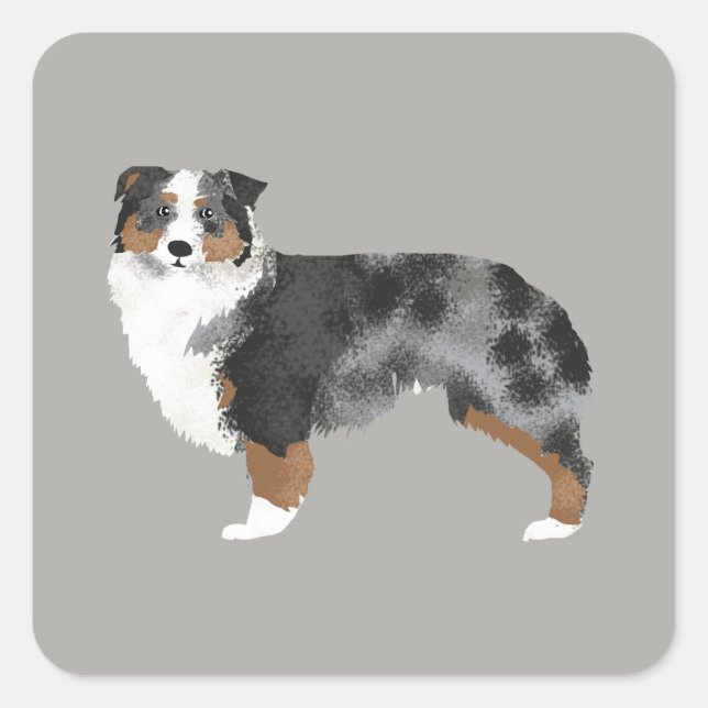 Australian Shepherd Dog Sticker (Front)
