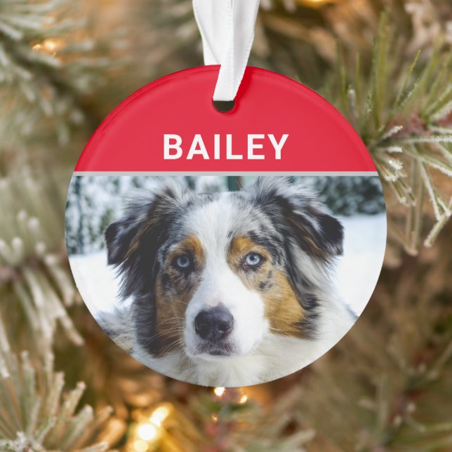 Australian Shepherd Dog with Name and Photo Ornament (Tree)