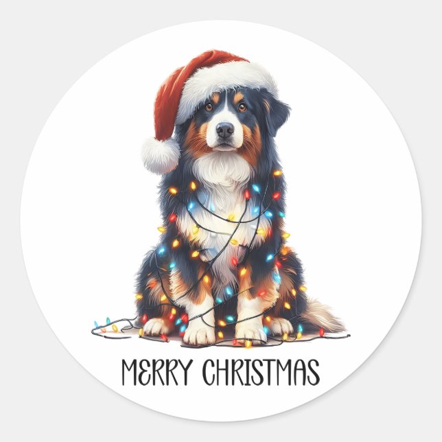 Australian Shepherd Dog Wrapped in Christmas Light Classic Round Sticker (Front)