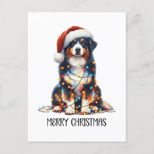 Australian Shepherd Dog Wrapped in Christmas Light Holiday Postcard