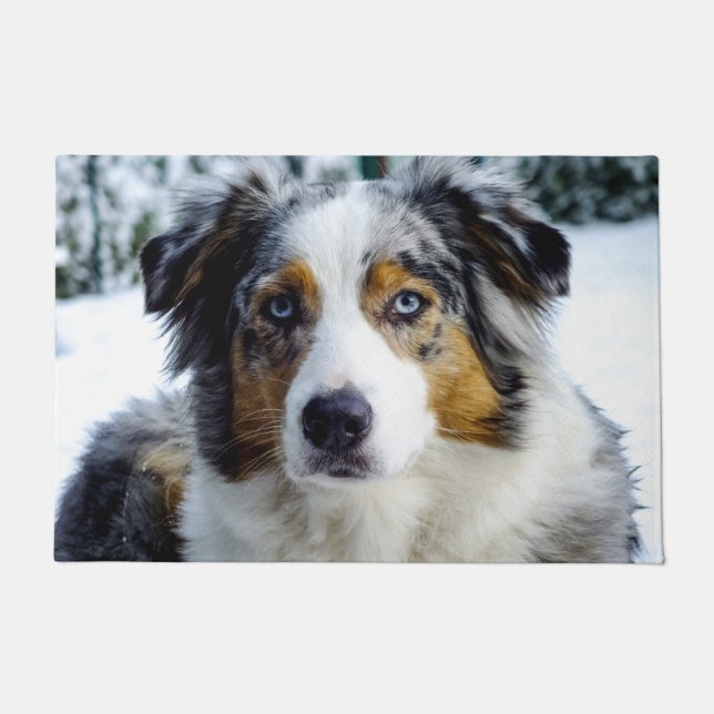 Australian Shepherd Doormat (Front)