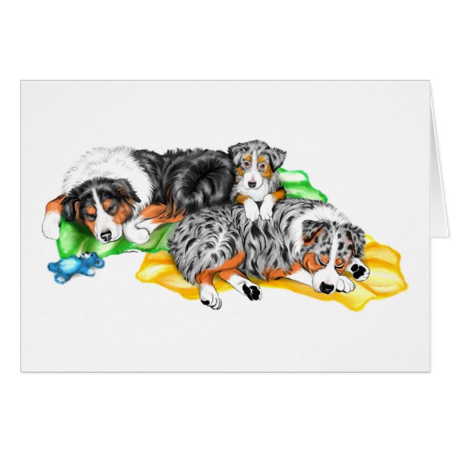 Australian Shepherd Family Nap (Devant Horizontal)