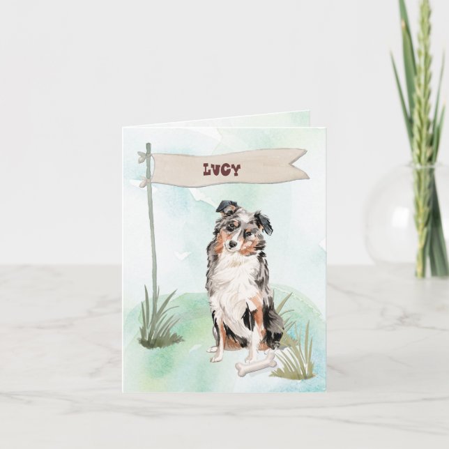 Australian Shepherd Félicitations pour le nouveau  (Devant)