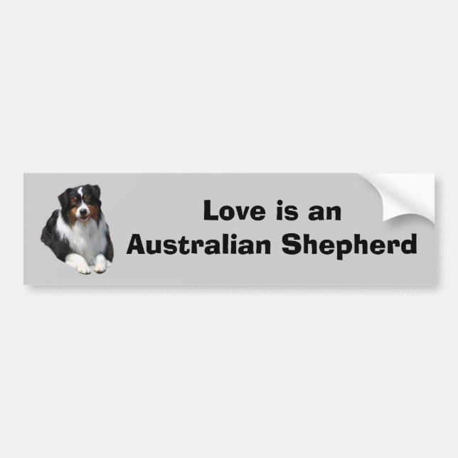 Australian Shepherd Guardian Bumper Sticker (Front)