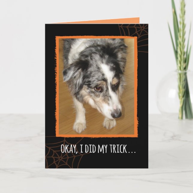 Australian Shepherd Halloween Trick and Treats Card (Front)