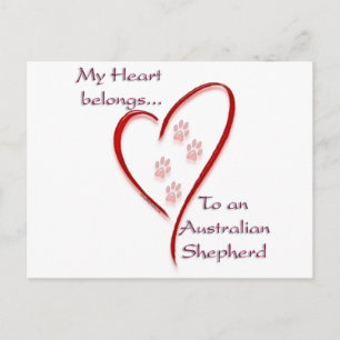 Australian Shepherd Heart Belongs Postcard