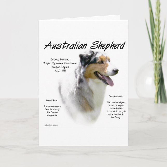 Australian Shepherd History Design Holiday Card (Front)