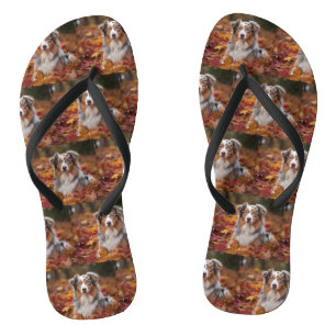 Australian Shepherd in Autumn Leaves Fall Inspire Flip Flops