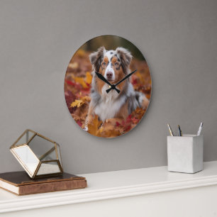 Australian Shepherd  in Autumn Leaves Fall Inspire Large Clock