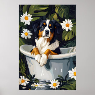 Australian Shepherd In Bathtub Poster, Funny Dog Poster