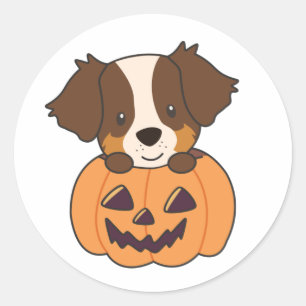 Australian Shepherd In Pumpkin Cute Happy Classic  Round Sticker
