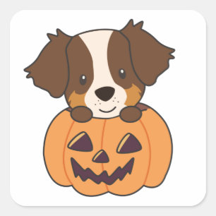Australian Shepherd In Pumpkin Cute Happy Square Sticker