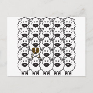 Australian Shepherd in the Sheep Postcard