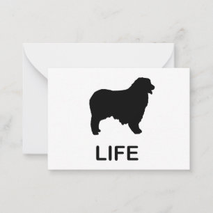 australian shepherd life card