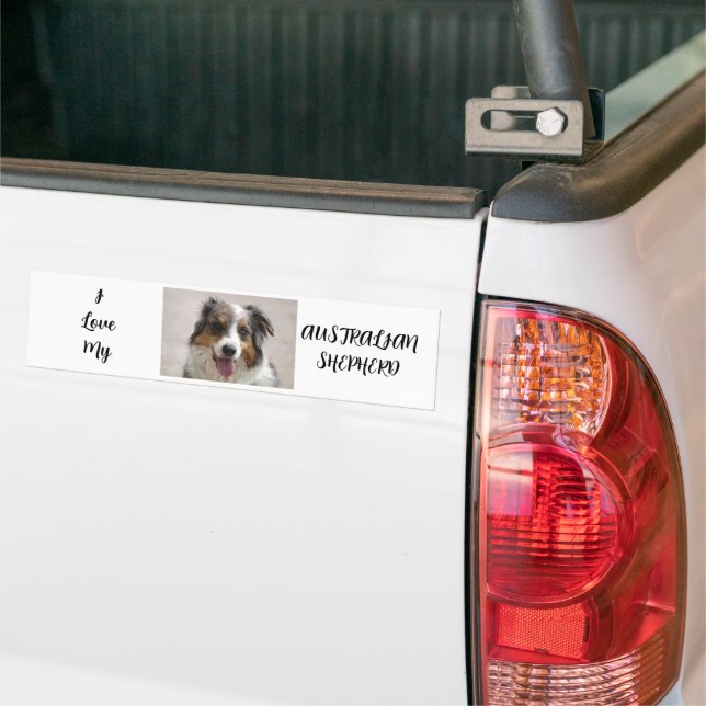 australian shepherd merle bumper sticker (On Truck)