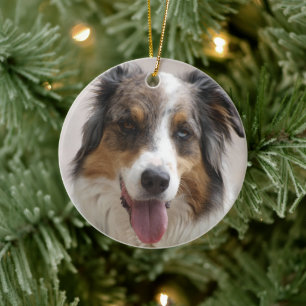 australian shepherd merle ceramic ornament