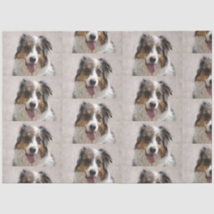 australian shepherd merle tissue paper