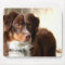 Australian Shepherd mousepad