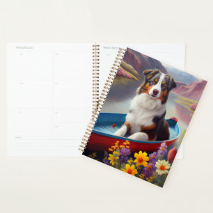 Australian Shepherd on Paddle : Une aventure Pitto