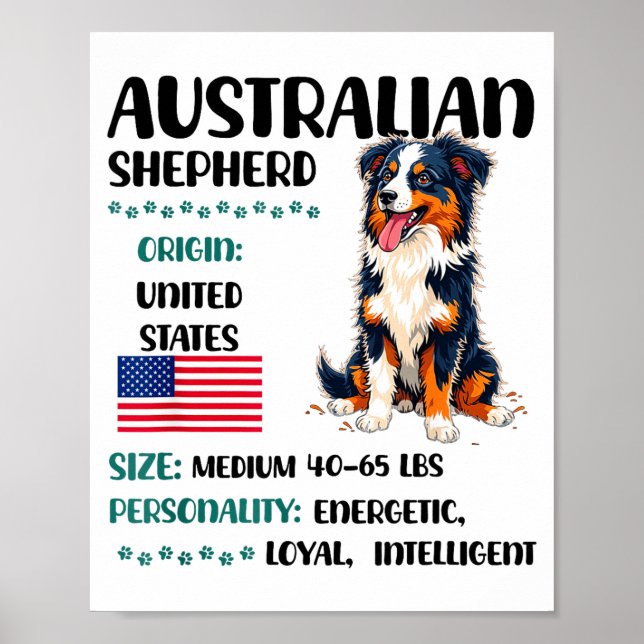 Australian Shepherd Origin Funny Aussie Dog Lover  Poster (Front)