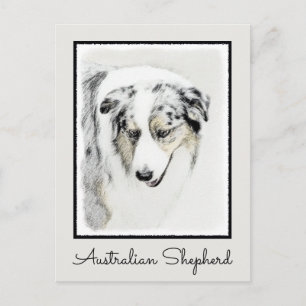 Australian Shepherd Painting - Original Dog Art Postcard