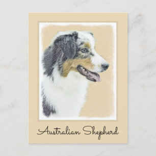 Australian Shepherd Painting - Original Dog Art Postcard