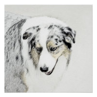Australian Shepherd Painting - Original Dog Art