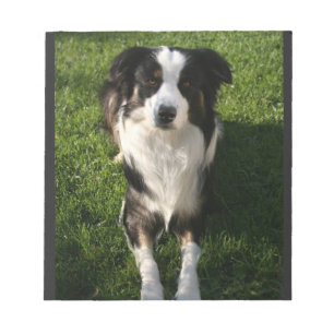 Australian Shepherd Photo Notepad