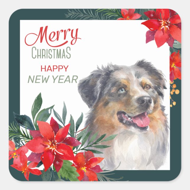 Australian Shepherd Poinsettia Bouquet Christmas Square Sticker (Front)