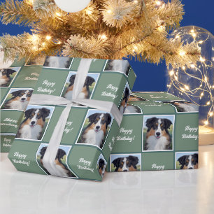 Australian Shepherd Portrait - Wrapping Paper