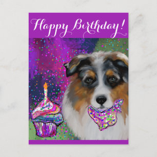 Australian Shepherd Postcard