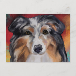 AUSTRALIAN SHEPHERD POSTCARD